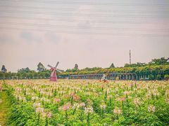 -盈香心动乐园