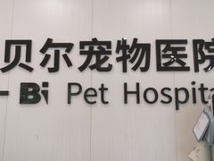 -艾贝尔宠物医院 ·中兽医·宠保定点(北门桥店)