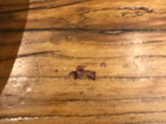 -老牌坊云南鱼豆花火锅(爱建店)