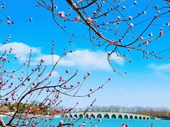 -颐和园