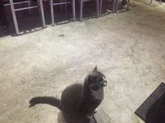 -MIKAKU(万达广场上海宝山店)