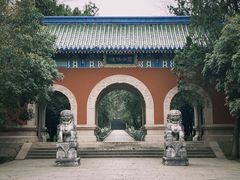 -灵谷景区