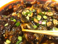 凉拌鸡-铁公鸡·四川料理(天环广场店)