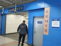 -大望路(地铁站)