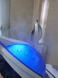 -碧莲盛·不剃发植发