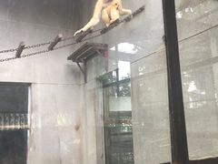-昆明动物园