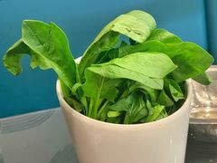 鸡毛菜-川香煲(茅台路店)