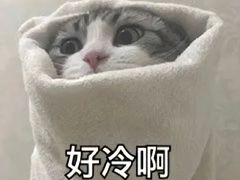 -耶里夏丽·丝路新疆菜·清真食品(徐汇南丹东路臻选店)