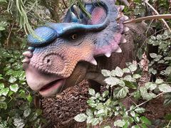 -呀路古热带植物园
