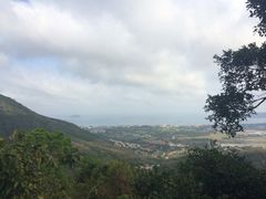 亚龙湾人间天堂-鸟巢度假村-三亚亚龙湾人间天堂鸟巢度假村