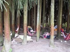 -武陵山森林公园