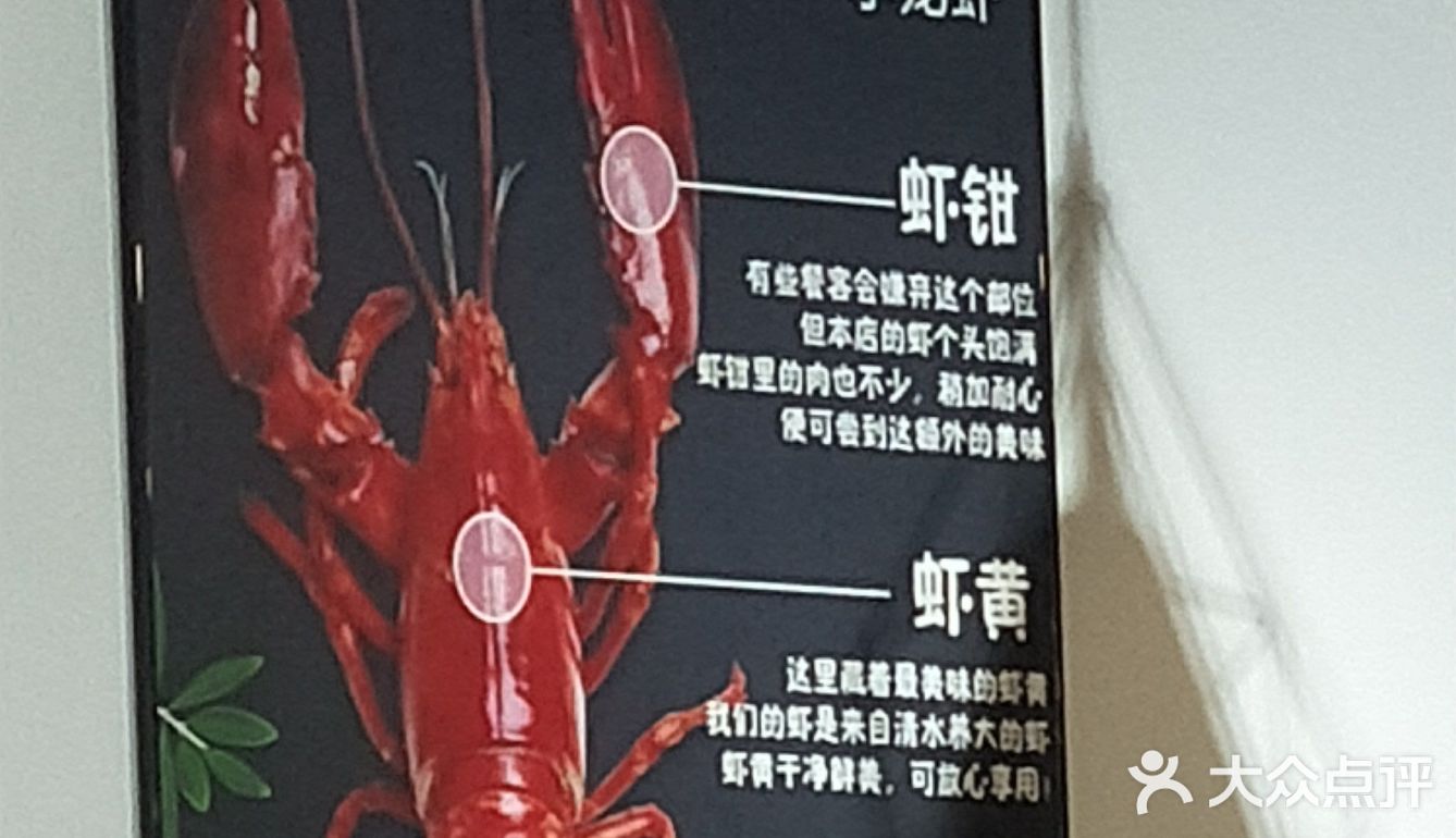 量大、料足、味鲜!打卡网红龙虾牛蛙锅店