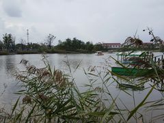 -上海长兴岛郊野公园