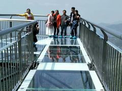 -梦幻奥陶纪景区