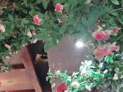 -蠔友汇·海鲜·生蚝烧烤(大东店)
