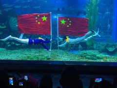 -顺德南宏海立方海洋公园