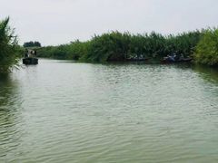 -泗洪洪泽湖湿地景区