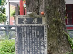 -章华寺