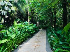 -三亚湾海居铂尔曼度假酒店