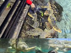 -福州罗源湾海洋世界旅游区