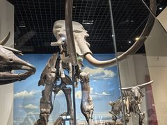 -国家自然博物馆