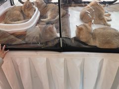 -宝龙城(杭州滨江店)