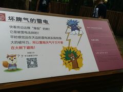 -南宁良凤江国家森林公园