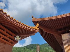 -深圳仙湖植物园