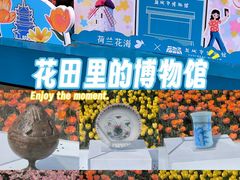 -荷兰花海