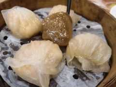 金牌虾饺皇-赏点粤式点心(广州塔店)