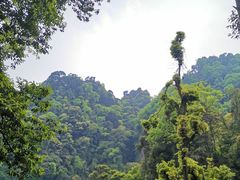 -青城山