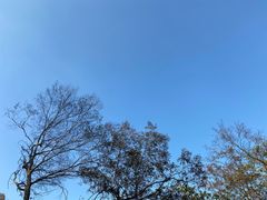 -南京市江宁方山
