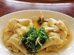 豆皮鸡-东馆和天下特色餐饮(工农店)