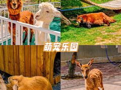 -水上乐园·欢乐世界