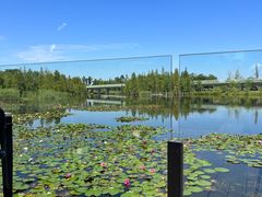 -白鹭湾湿地公园