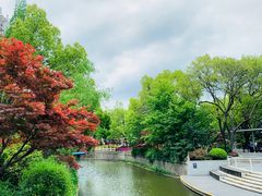 -兰溪青年公园