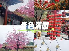 -珠海圆明新园