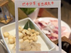-同仁四季椰子鸡(海岸城天利店)