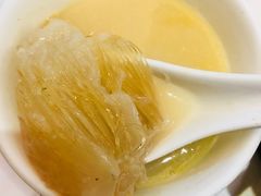 -凤城礼记鱼翅海鲜酒家(新马路总店)
