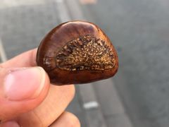 栗子-王老头炒货(天坛东路店)