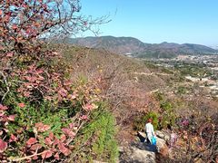 -北京西山国家森林公园