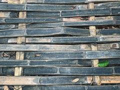 -西双版纳原始森林公园