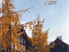 -古大圣慈寺