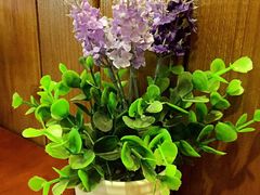 SPR&nbsp;COFFEE(东大街罗马假日风情街)-SPR COFFEE(兴正元店)