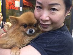 -严国平动物医院(德政总院)