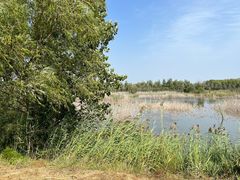 -野鸭湖国家湿地公园