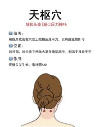 -Bollins波林丝•专研护发中心