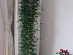 -e城e家家政(怀柔店)