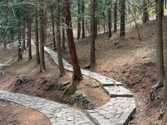 -四明山国家森林公园