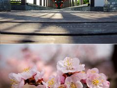 -常德桃花源景区